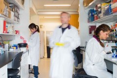 Corporate Photography of staff and facilities at Li Ka Shing Kno