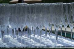 Event photography @ Elizabeth Addesi"s Enagement Party in Woodbr