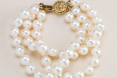 Product Photography for SZCC
