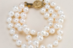 Product Photography for SZCC