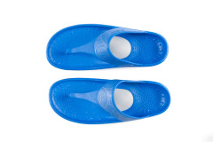 Barefoot Science